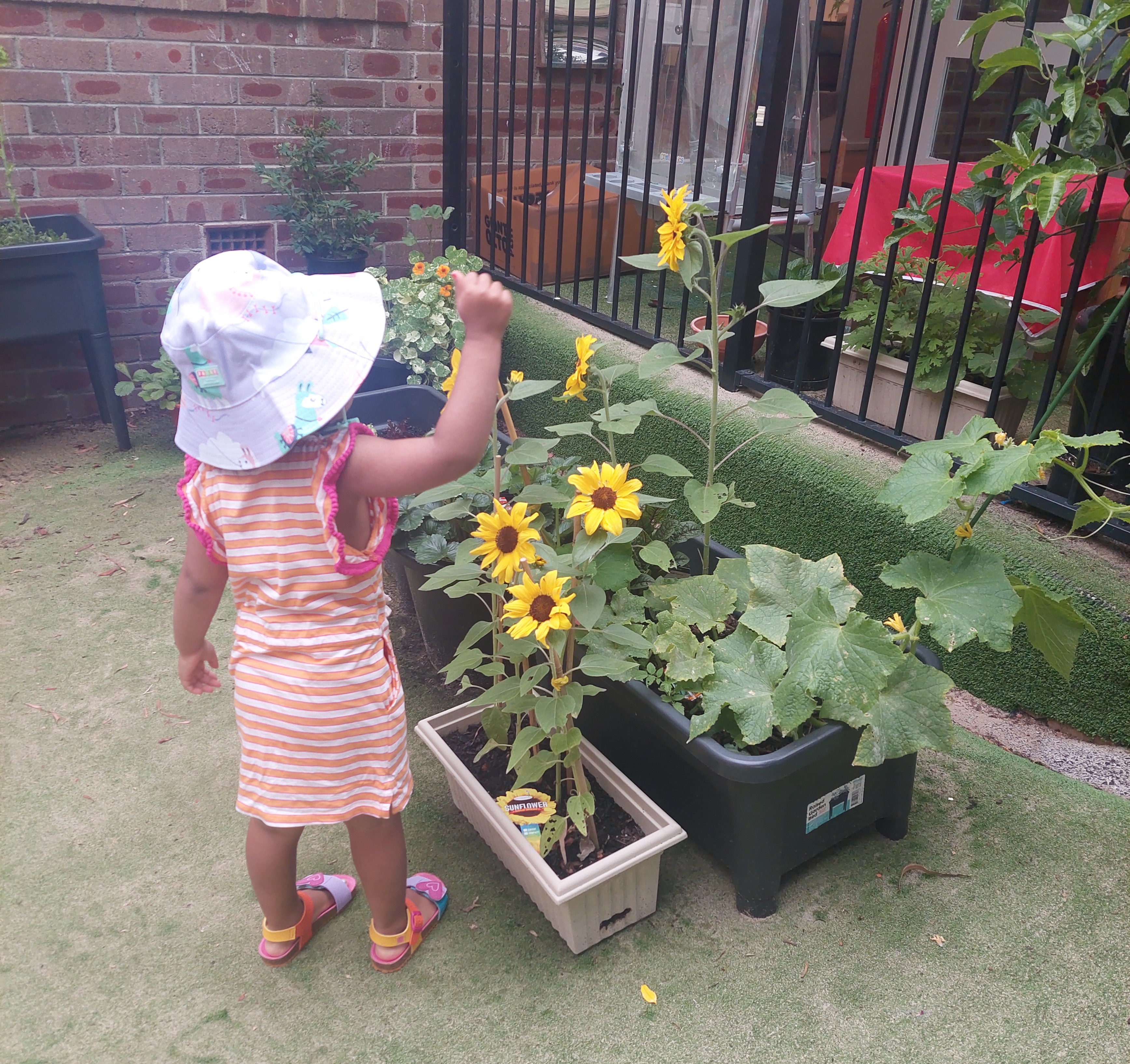 Learning environment